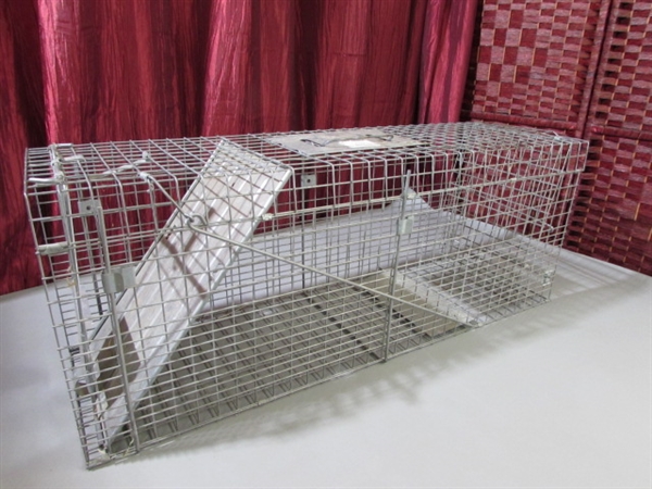 ANIMAL TRAP