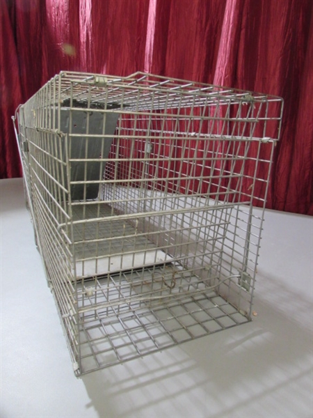 ANIMAL TRAP