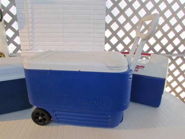 BLUE IGLOO & RUBBERMAID ICE CHESTS & MORE *LOCATED OFF SITE #3*