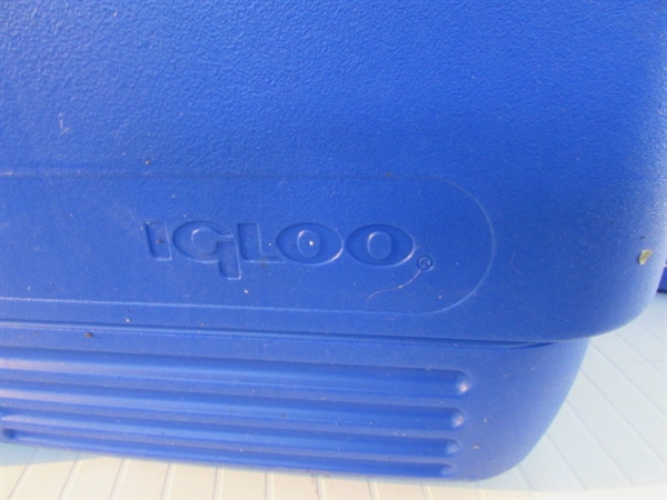 BLUE IGLOO & RUBBERMAID ICE CHESTS & MORE *LOCATED OFF SITE #3*