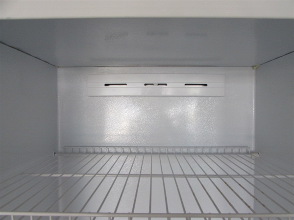 FRIGIDAIRE COMMERCIAL FREEZER