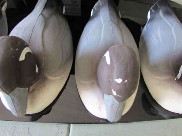 CARRY-LITE DUCK DECOYS