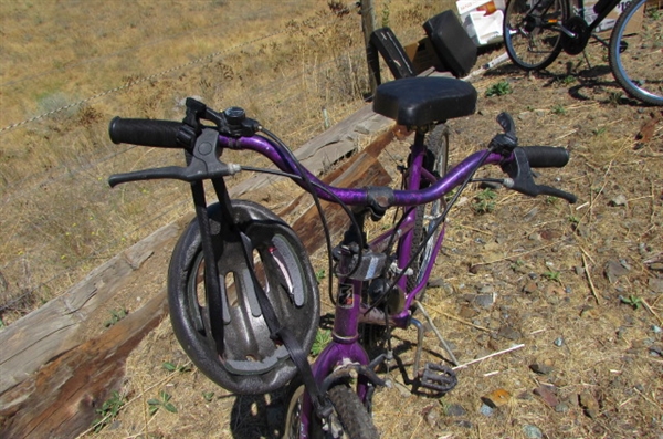 WOMEN'S 15-SPEED FREE SPIRIT BICYCLE
