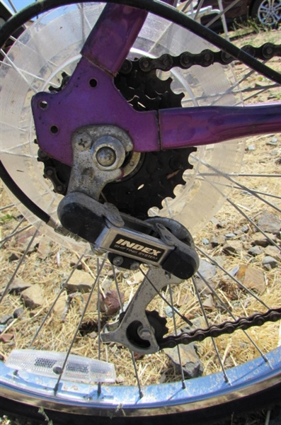 WOMEN'S 15-SPEED FREE SPIRIT BICYCLE