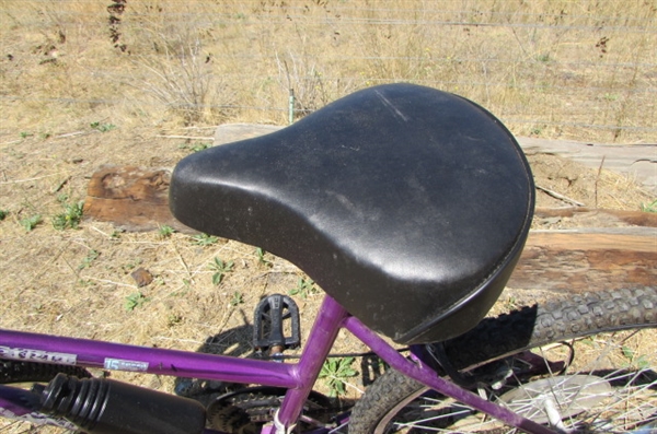 WOMEN'S 15-SPEED FREE SPIRIT BICYCLE