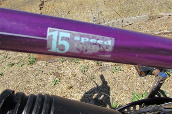 WOMEN'S 15-SPEED FREE SPIRIT BICYCLE