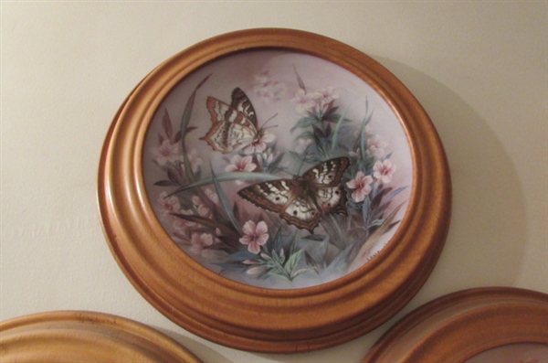FRAMED BUTTERLY COLLECTORS PLATES
