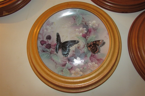 FRAMED BUTTERLY COLLECTORS PLATES