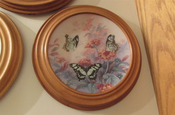 FRAMED BUTTERLY COLLECTORS PLATES