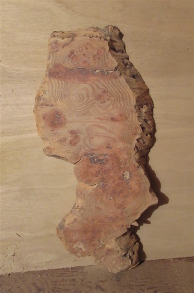 UNFINISHED BURLWOOD FOR A SMALL TABLE