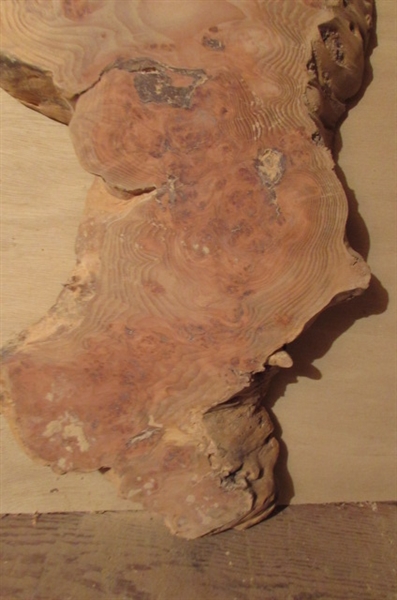 UNFINISHED BURLWOOD FOR A SMALL TABLE