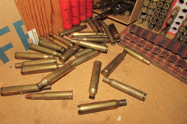 RELOADING BRASS