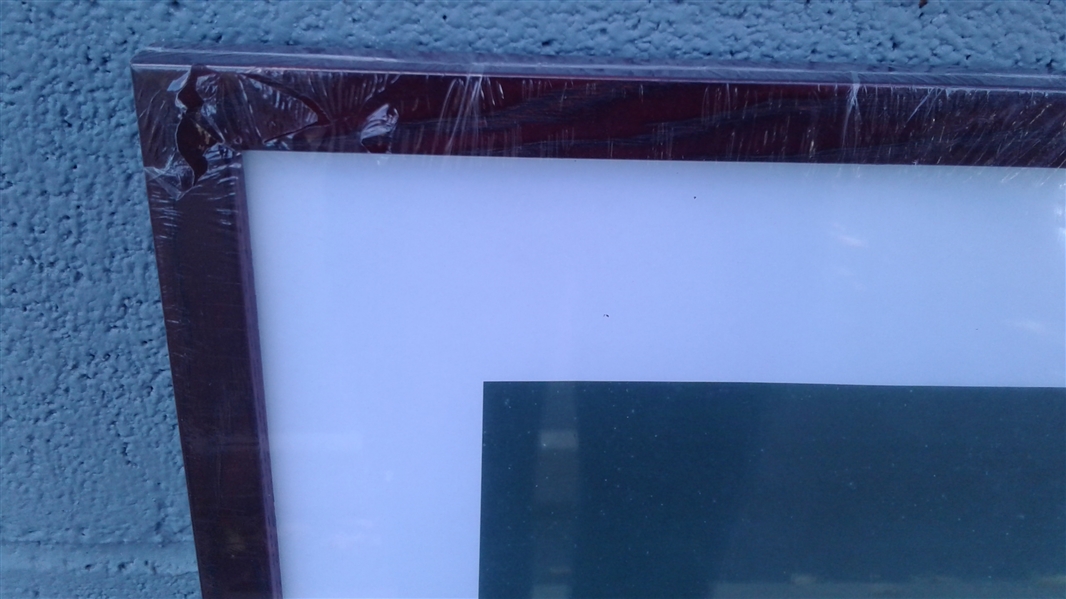12 X 36 PICTURE FRAME- NEW