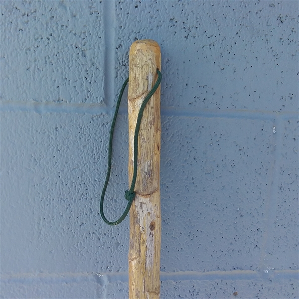 INTERALP ICE AXE AND WALKING STICK