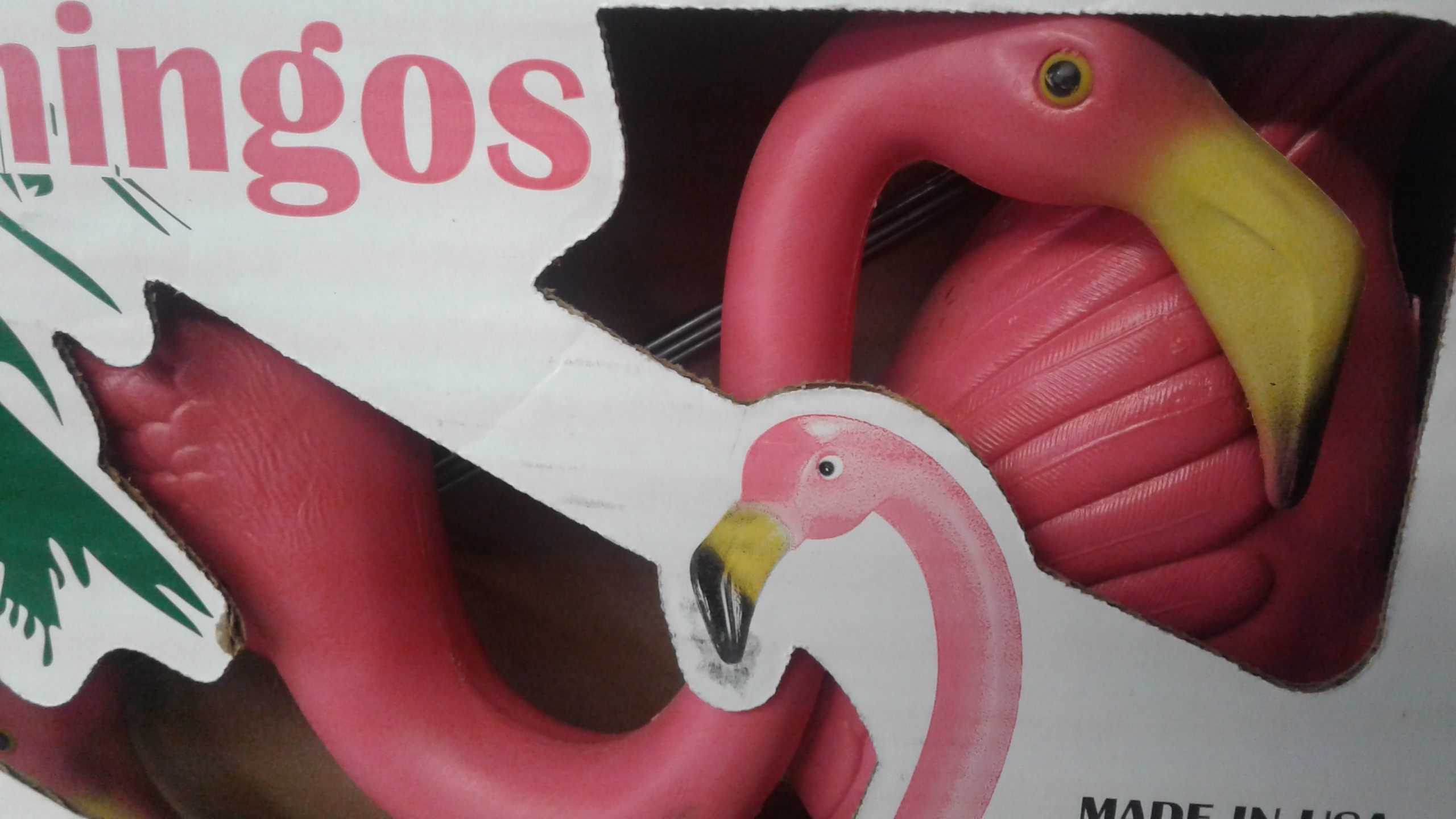 flamingo lose pink