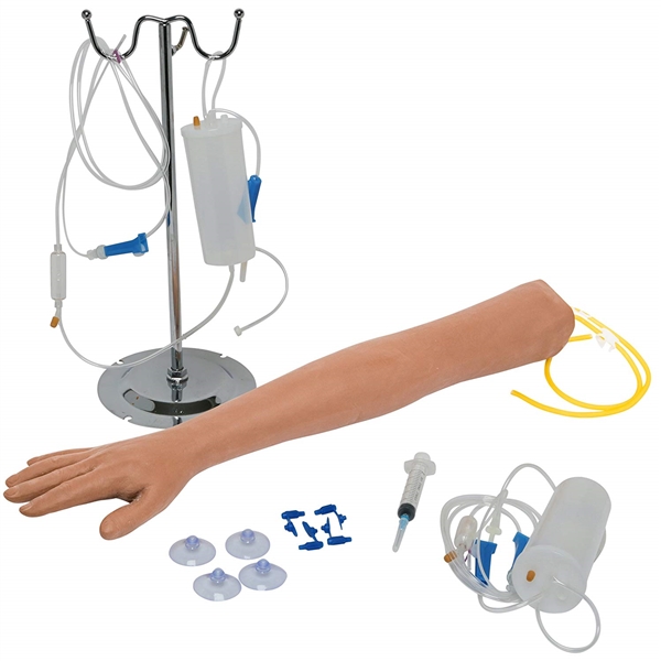 THE APPRENTICE DOCTOR ANATOMICAL PHLEBOTOMY SIMULATION ARM