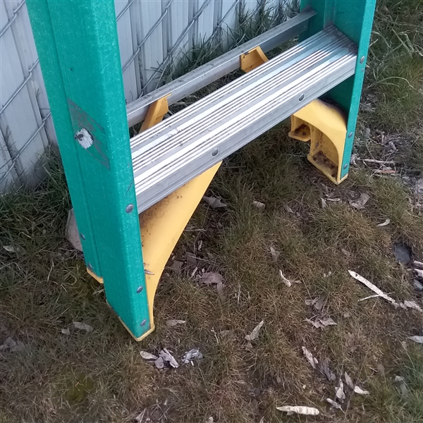 Werner Ladders