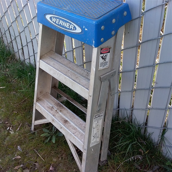 Werner Ladders