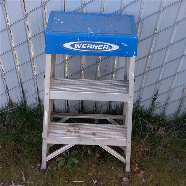 Werner Ladders
