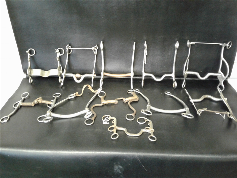 11 Various horse bits