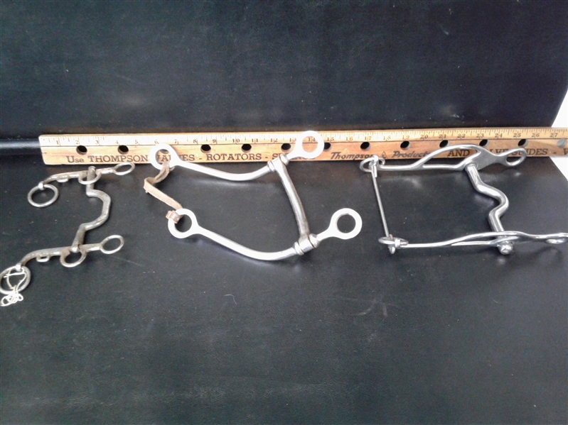 11 Various horse bits