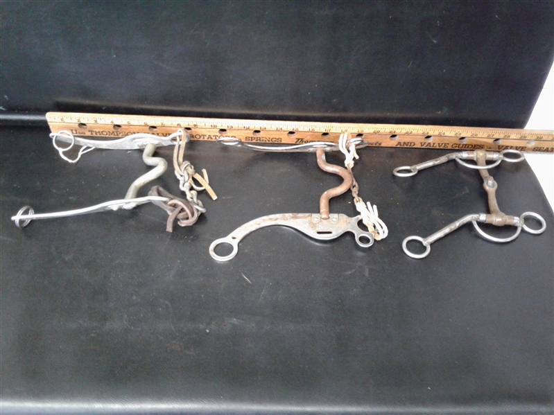 7 Various horse bits