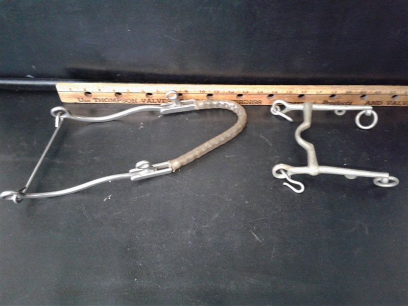 7 Various horse bits