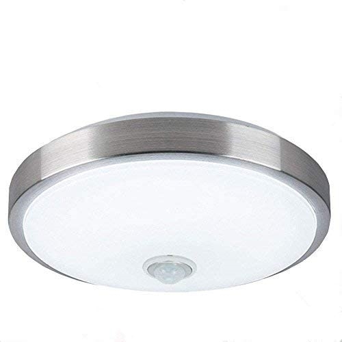 Motion Sensor Ceiling Light 
