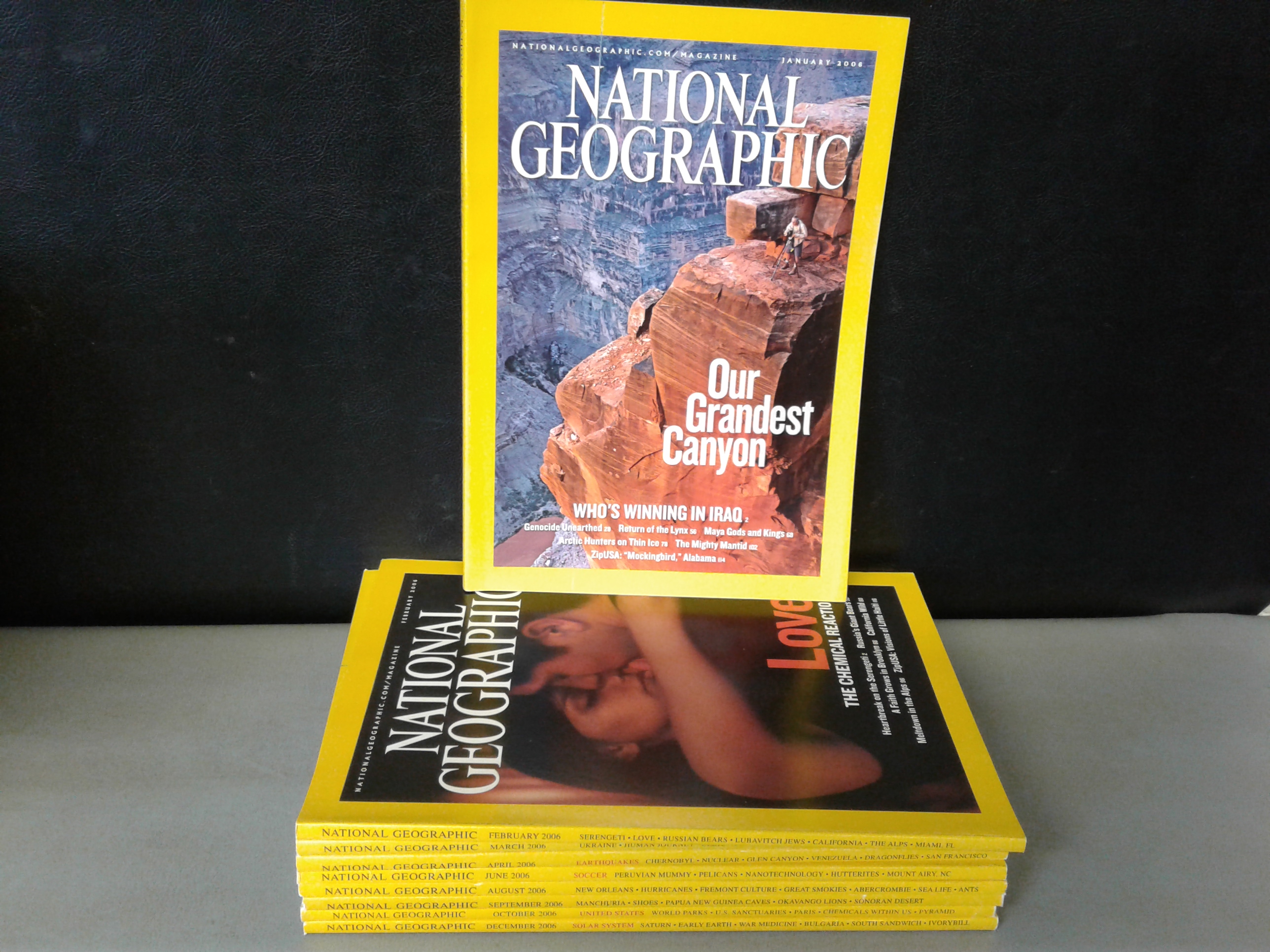Lot Detail - Magazines: National Geographic 2006