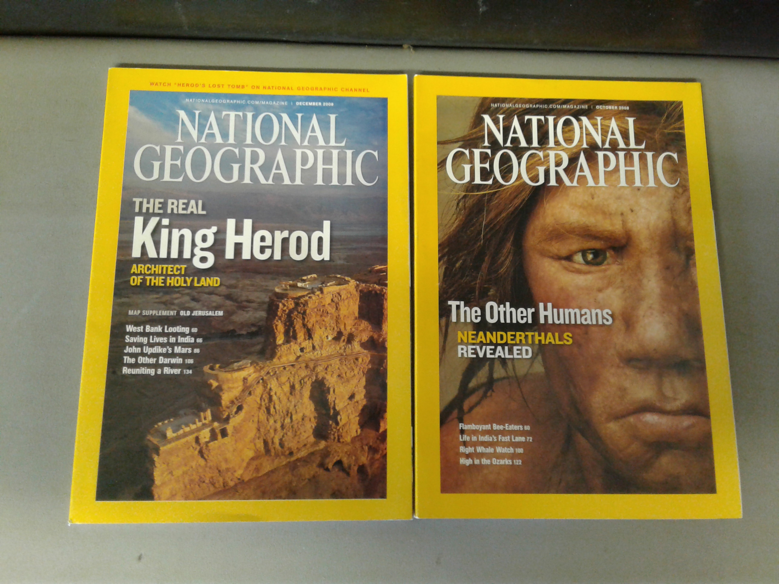 Lot Detail - Magazines: National Geographic 2008