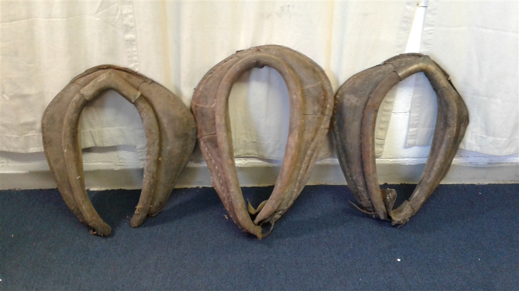 3 Vintage Horse Collars