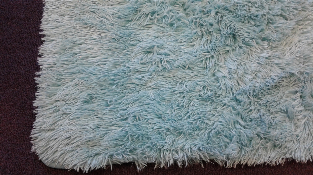 Soft Teal Shag Area Rug 5'x8'