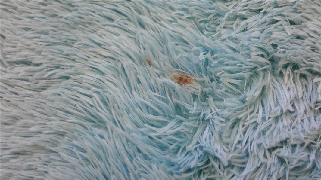 Soft Teal Shag Area Rug 5'x8'