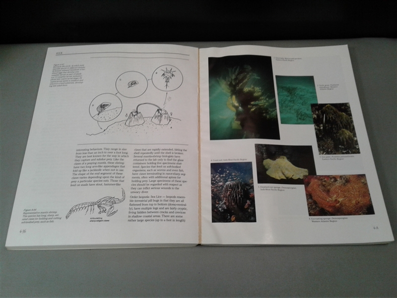 Ocean/Diving Books