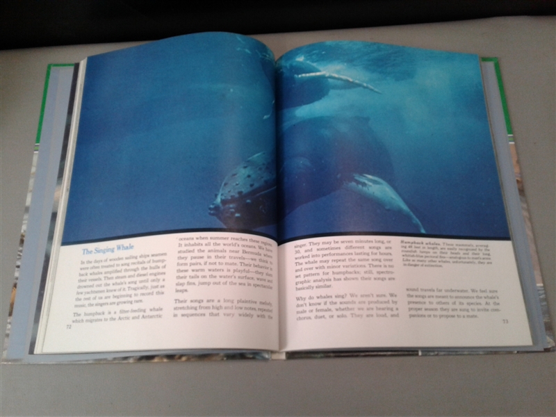 Ocean/Diving Books
