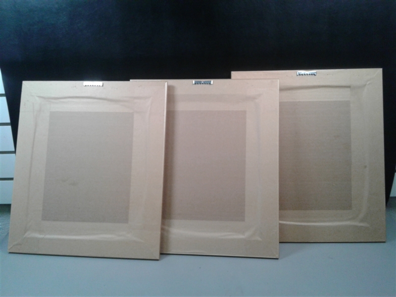 Trio of Matted and Framed Art