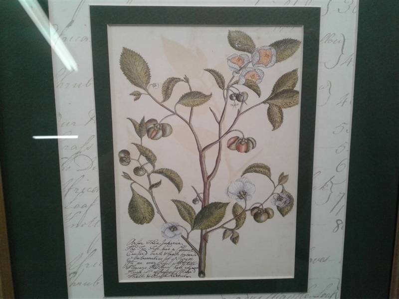 Trio of Matted and Framed Art