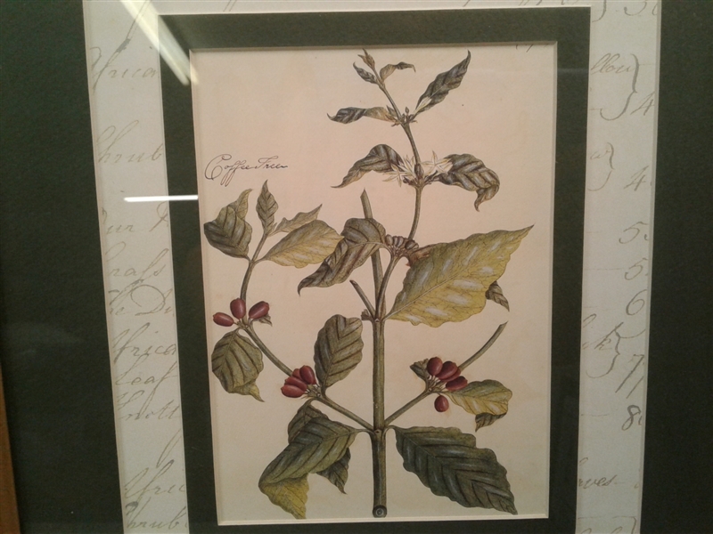 Trio of Matted and Framed Art