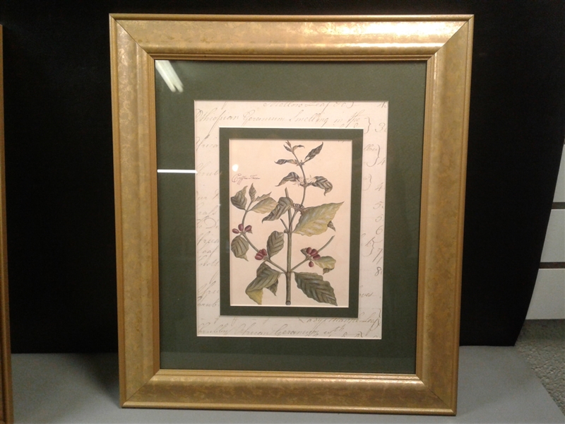 Trio of Matted and Framed Art
