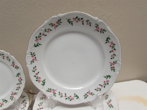 GERMAN CROWN BAVARIA FINE CHINA SET