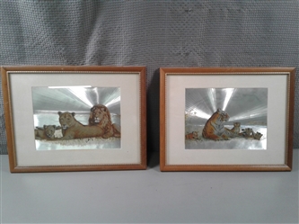 Pair of BIG CAT Framed Metallic Hollofoils By Josephine Marsh