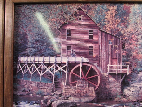 Pair of Framed Outdoor Prints
