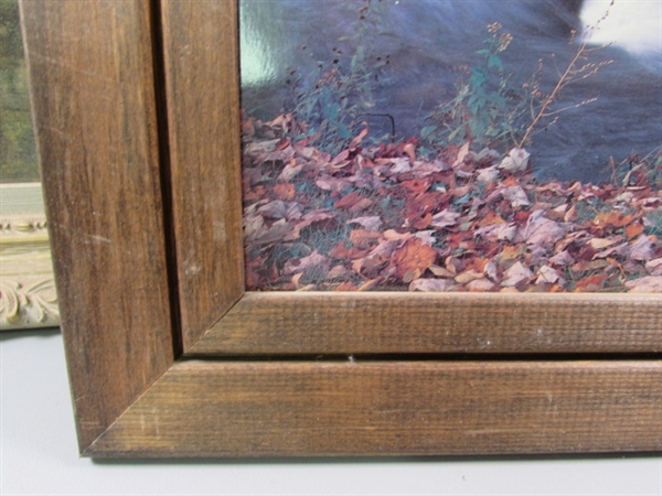 Pair of Framed Outdoor Prints
