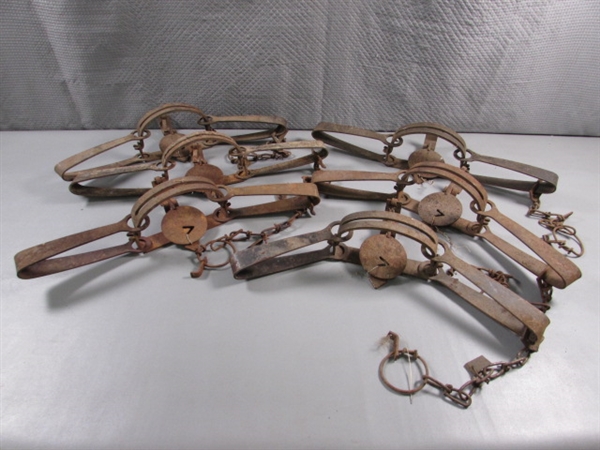6 VICTOR ANIMAL TRAPS