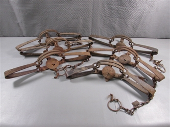 6 VICTOR ANIMAL TRAPS