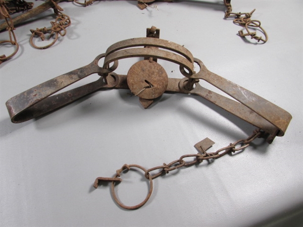 6 VICTOR ANIMAL TRAPS