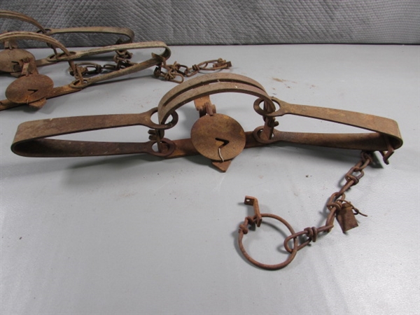 6 VICTOR ANIMAL TRAPS