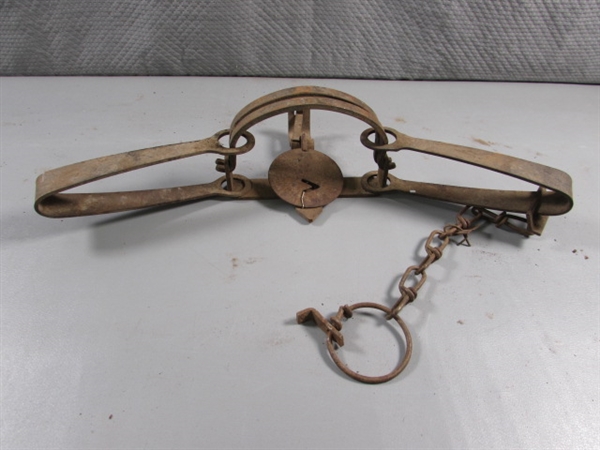6 VICTOR ANIMAL TRAPS