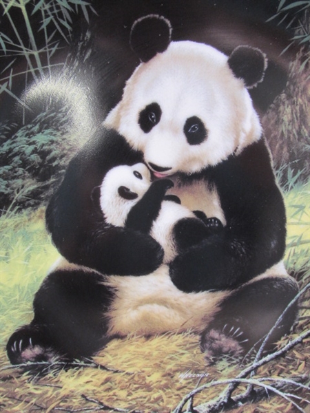GRIZZLY & PANDA BEAR COLLECTORS PLATES