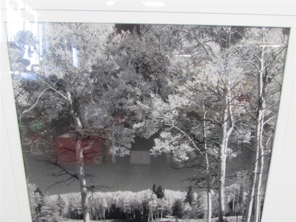 RIVER OF ASPENS FRAMED ART BY HARVEY CAPLIN